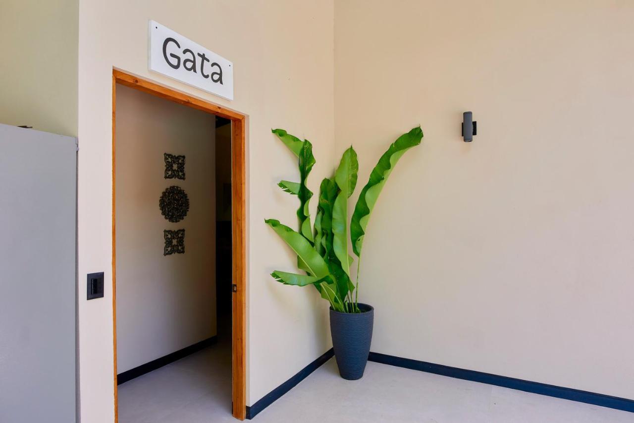 Lalola Villa Privada Cahuita Eksteriør bilde